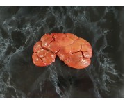 Orkney Scotch Ox kidney